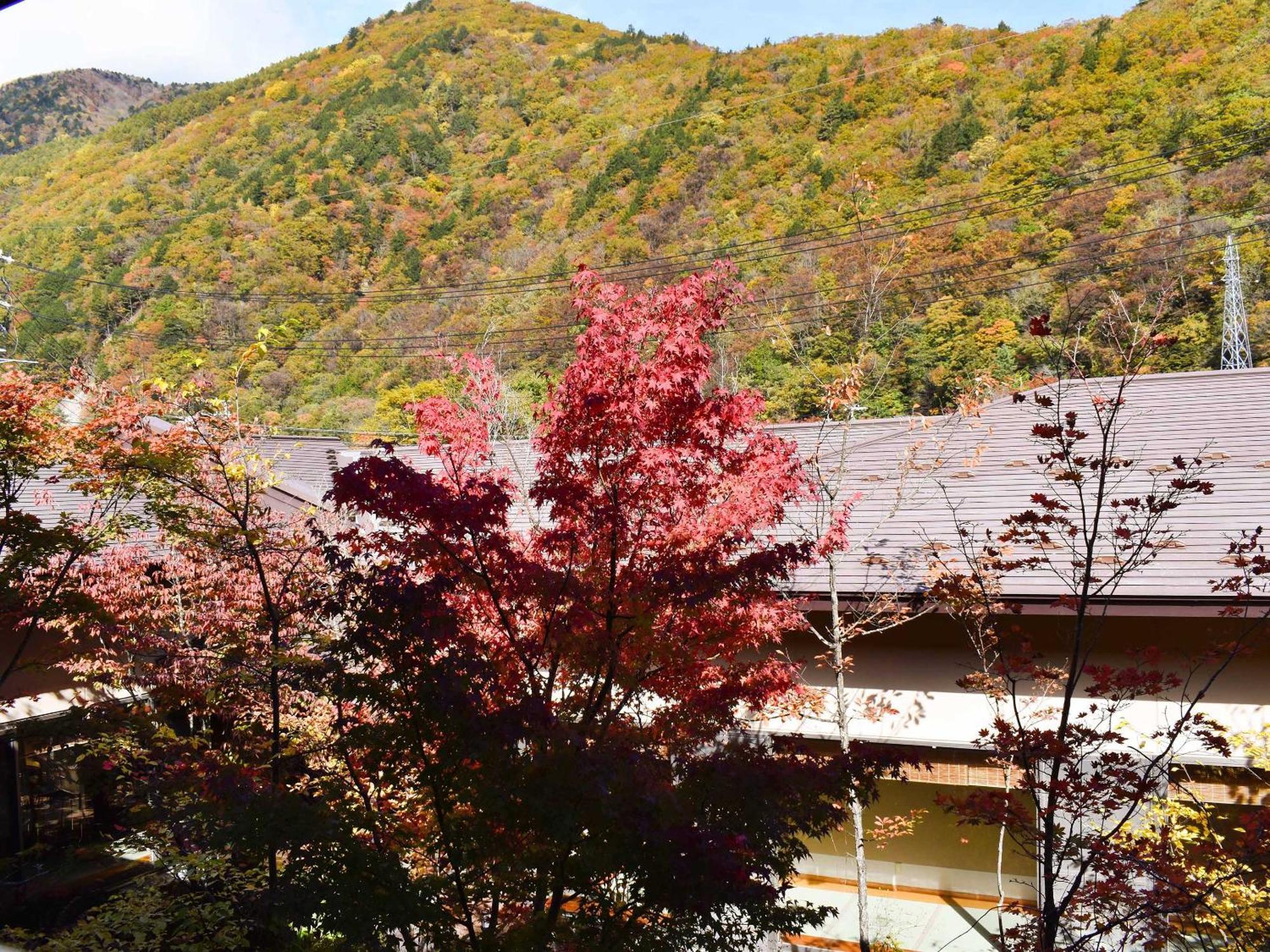 Keiryuso Siorie Hotel Matsumoto Buitenkant foto